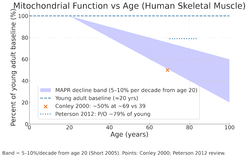 mitochondrial function by age
